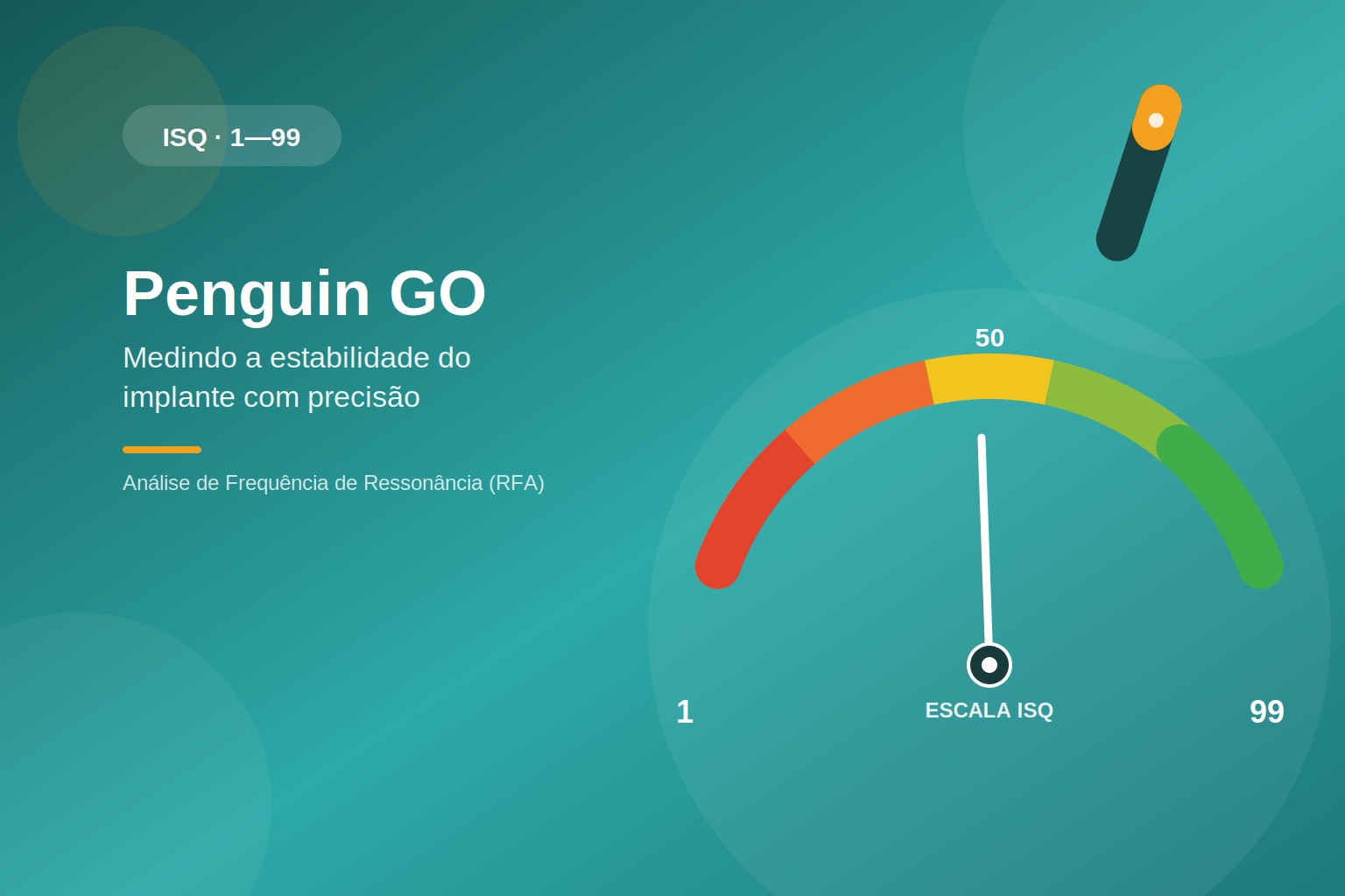 01_capa_penguin_go (2)